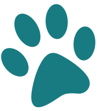 Paw print icon